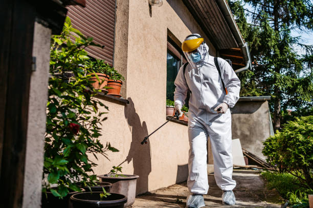 Best Pest Control for Businesses  in Rheems, PA